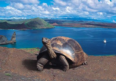 Día de Galápagos, Oriente Ecuatoriano y Río Amazonas